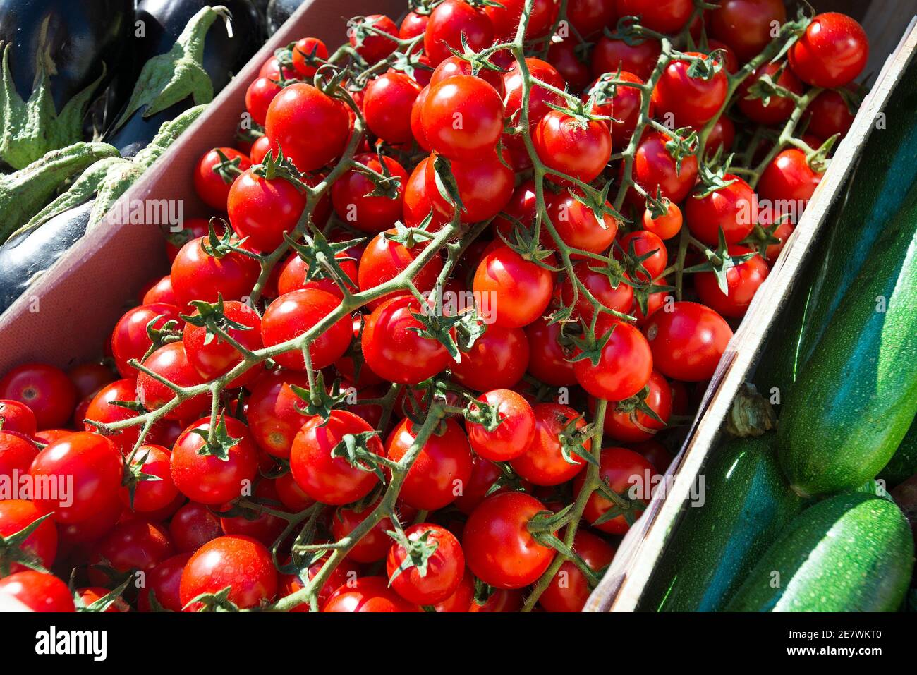 Tomates cerises locales sur la vigne au marché, Villa Castelli, Puglia, Italie Banque D'Images