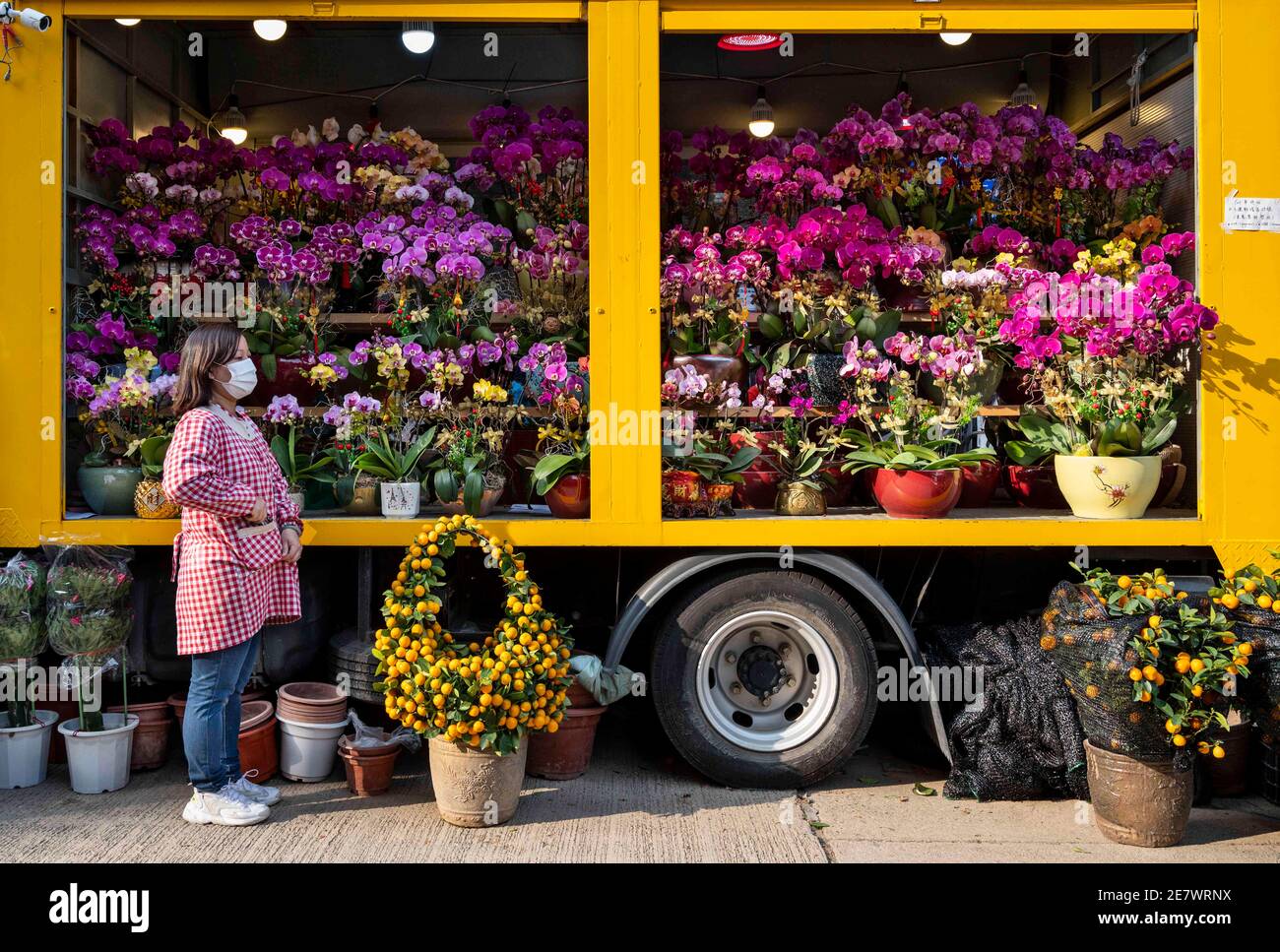 Hong Kong, Chine. 28 janvier 2021. Un vendeur se tient à sa stalle de fleurs alors qu'elle vend des orchidées parmi d'autres fleurs typiques du thème du nouvel an chinois au marché aux fleurs pendant les préparatifs pour les prochaines vacances lunaires du nouvel an d'Ox chinois. Crédit : Miguel Candela/SOPA Images/ZUMA Wire/Alay Live News Banque D'Images