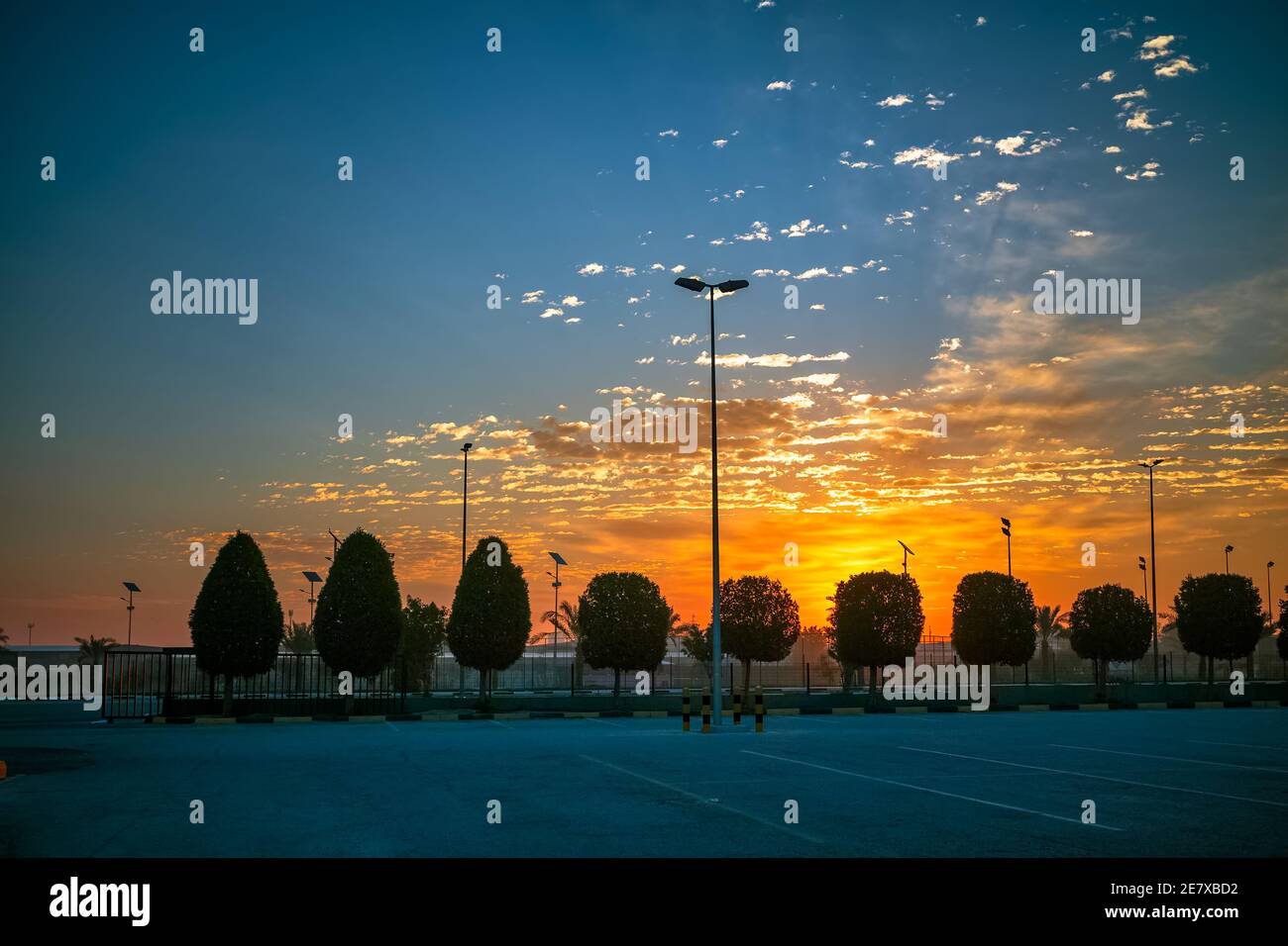 Magnifique vue sur le coucher du soleil dans le parc du roi fahad en Arabie Saoudite. Arrière-plan de mise au point sélective flou. Banque D'Images