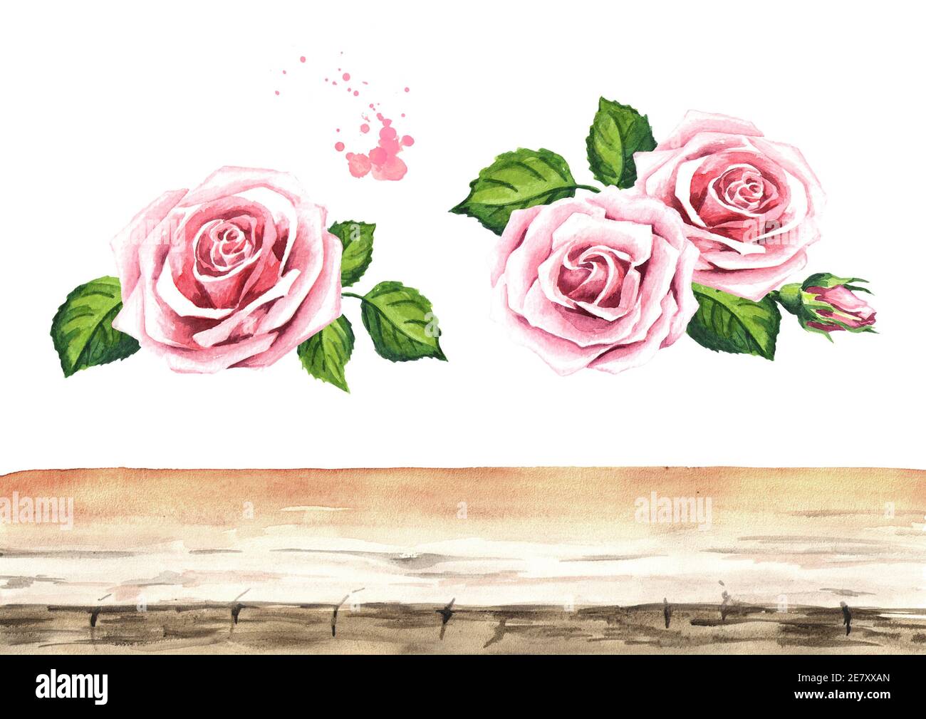 Éléments de fond rose rose fleur. Éléments de conception pour cartes, invitations et textiles. Aquarelle dessin à la main, isolée sur fond blanc Banque D'Images