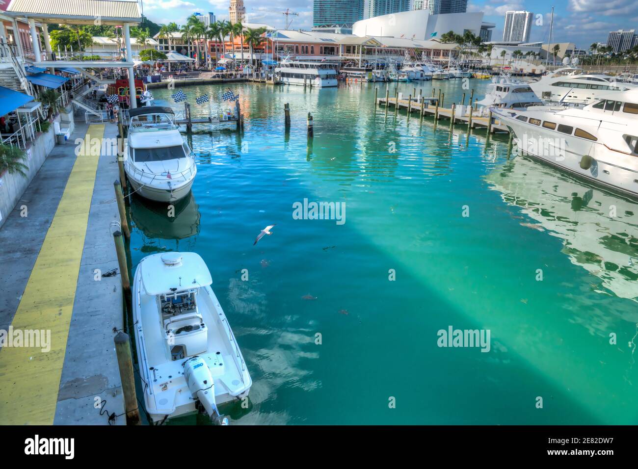 Le port de plaisance est situé au marché Bayfront, sur Biscayne Bay, à Miami, en Floride. Banque D'Images