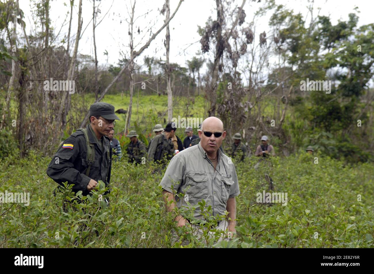 Un employé du Département d'État américain se rend dans une plantation de coca avec des policiers colombiens anti-narcotiques pour assister à une éradication manuelle, à Tolima, en Colombie, le 13 juin 2007. Elle fait partie d'un plan colombien, conçu entre 1998 et 1999 dans le but de revitaliser l'économie et la société, de mettre fin au conflit armé et de créer une stratégie anti-drogue. La fumigation aérienne semble endommager les cultures légales et a des effets néfastes sur la santé des personnes exposées aux herbicides. Photo de Jules Motte/ABACAPRESS.COM Banque D'Images