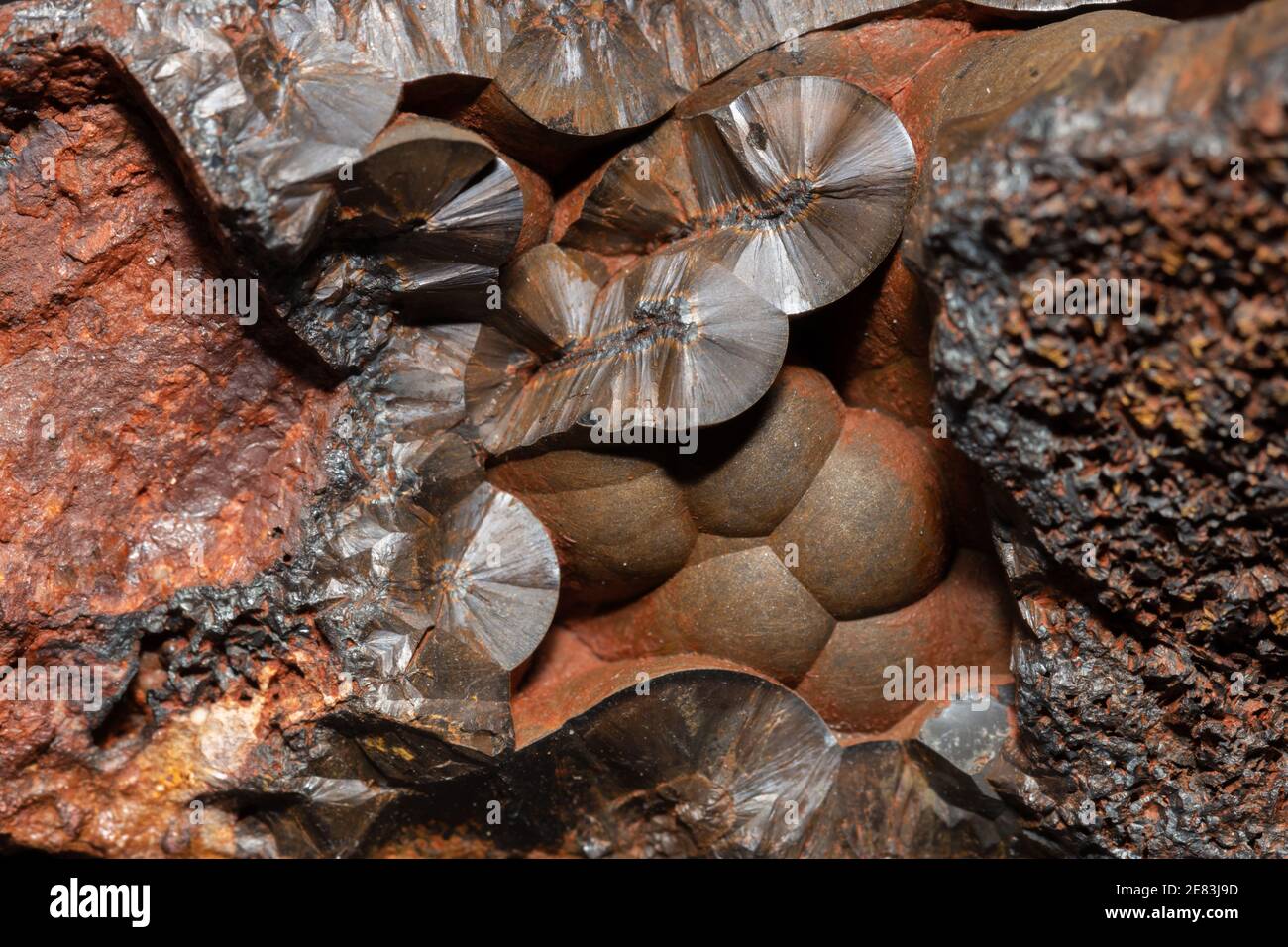 Botryoidal Goethite 60 Mine, Luis Lopez Manganese District Comté de Socorro, Nouveau-Mexique Banque D'Images