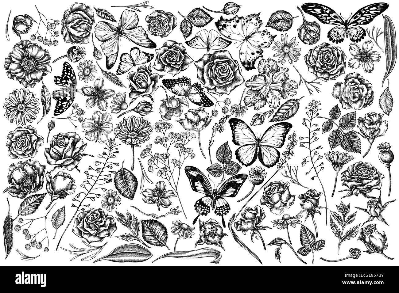 Ensemble vectoriel de sac à main de berger noir et blanc, bruyère, iris japonica, sakura, gitsophila, camomille, amande, fleur de pavot, calendula Illustration de Vecteur