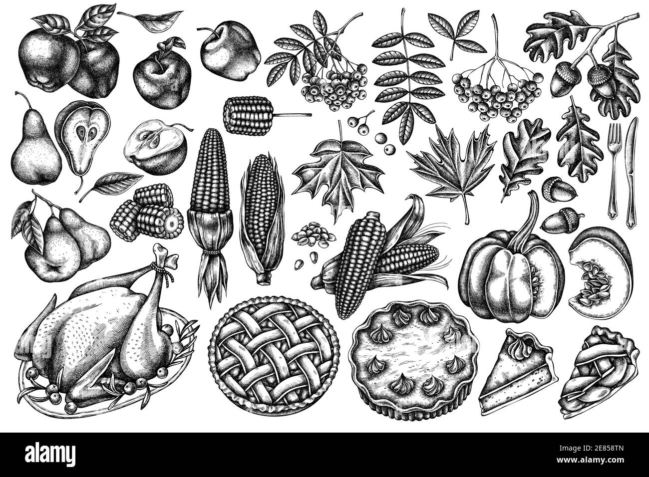 Ensemble vectoriel de potiron noir et blanc, fourchette, couteau, poires, dinde, tarte à la citrouille, tarte aux pommes, maïs, pommes, rowan, érable, chêne Illustration de Vecteur