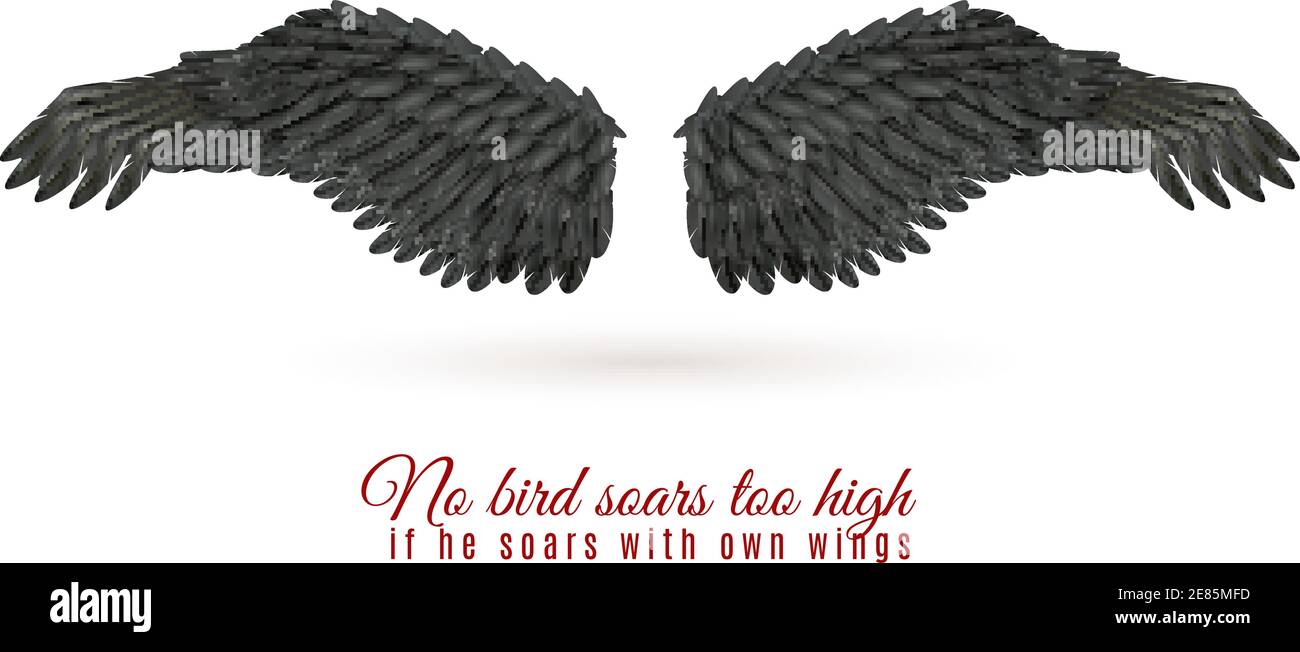 Paire De Grandes Ailes D Oiseau Sombre Sur Fond Blanc Avec Illustration Vectorielle Realiste De L Ombre Et De La Citation Image Vectorielle Stock Alamy