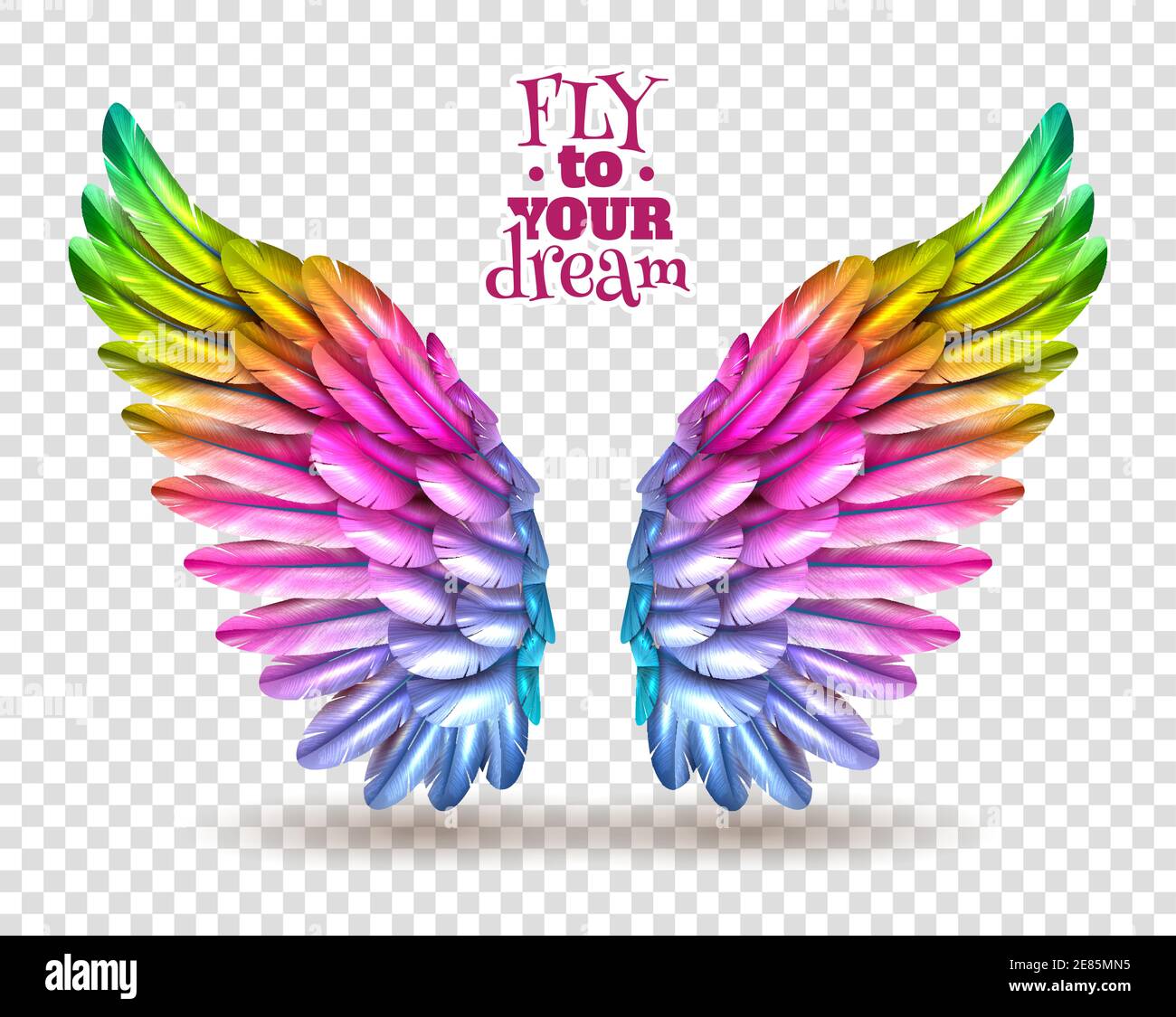 Paire d'ailes d'oiseaux colorées isolées sur fond transparent avec illustration vectorielle plate ombre Illustration de Vecteur