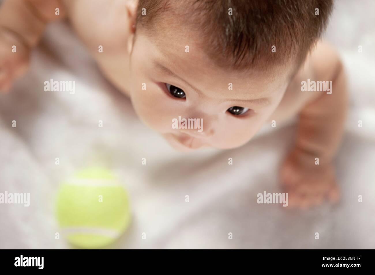 Un bébé regardant la balle de tennis photo de haute qualité Banque D'Images