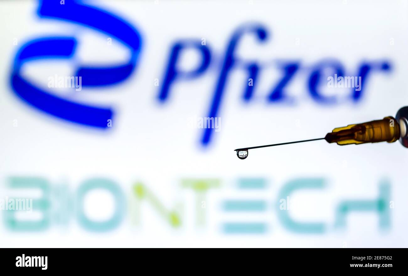 Vienne Autriche janvier.30 2021, seringue avec liquide rétroéclairé par les logos de Pfizer et Biontech, développeurs du vaccin Covid19 Banque D'Images