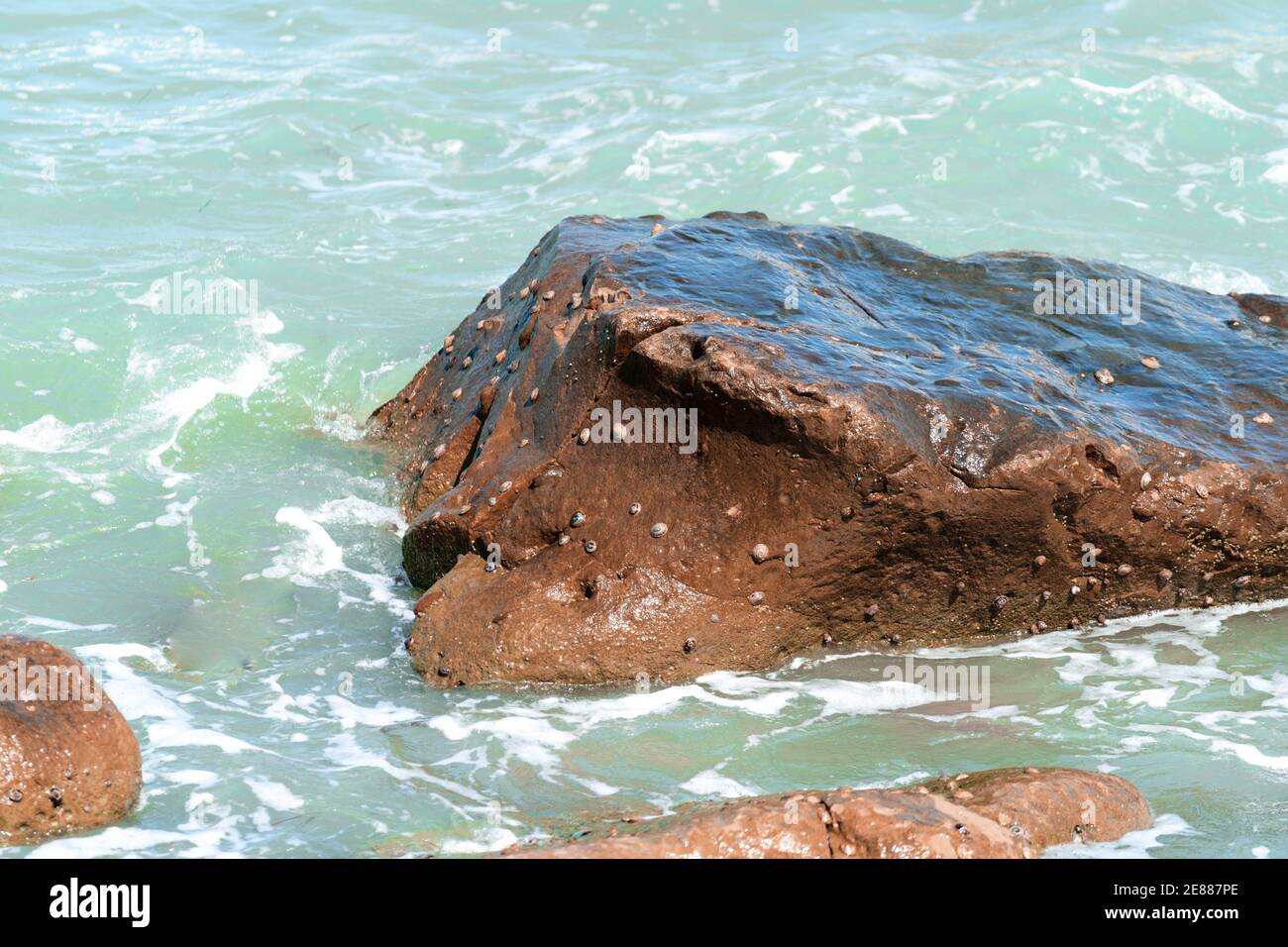.les vagues de la mer se crash et éclabousser sur les rochers. Banque D'Images