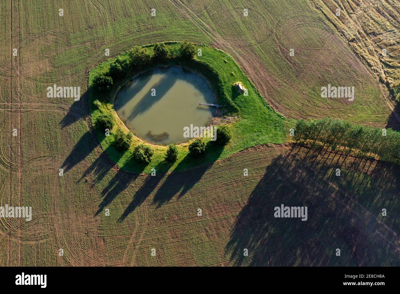 Vue aérienne sur le petit étang sur le champ de la ferme Banque D'Images