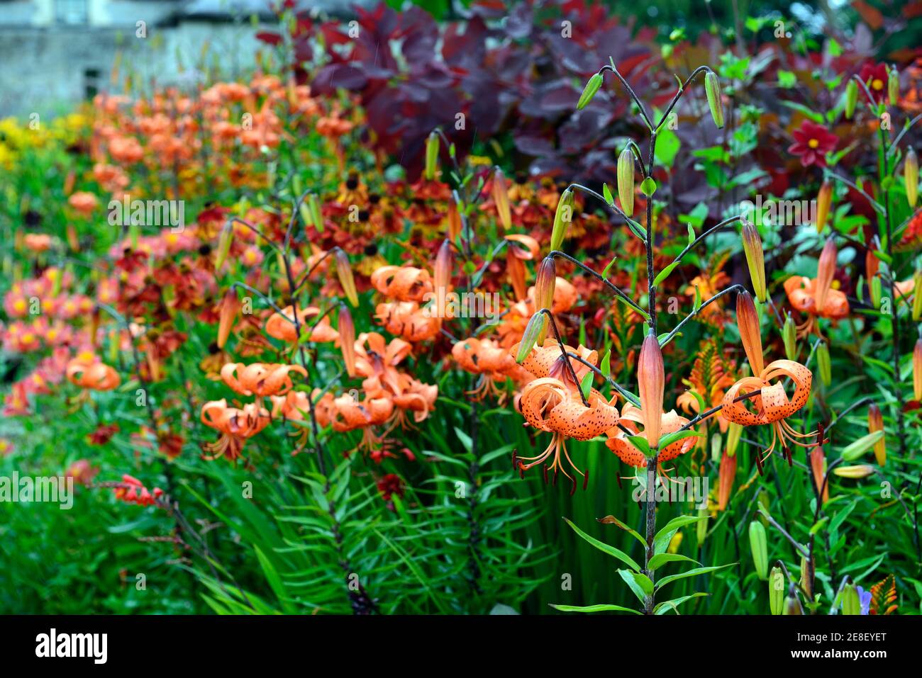 Bordures rouges Banque de photographies et d’images à haute résolution ...
