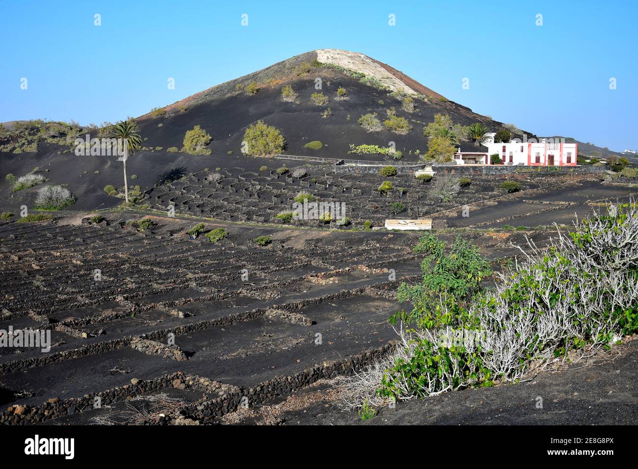 Magnifique paysage volcanique avec une maison blanche et un vignoble. La Geria, Lanzarote, Iles Canaries, Espagne. Image prise sur le terrain public. Banque D'Images