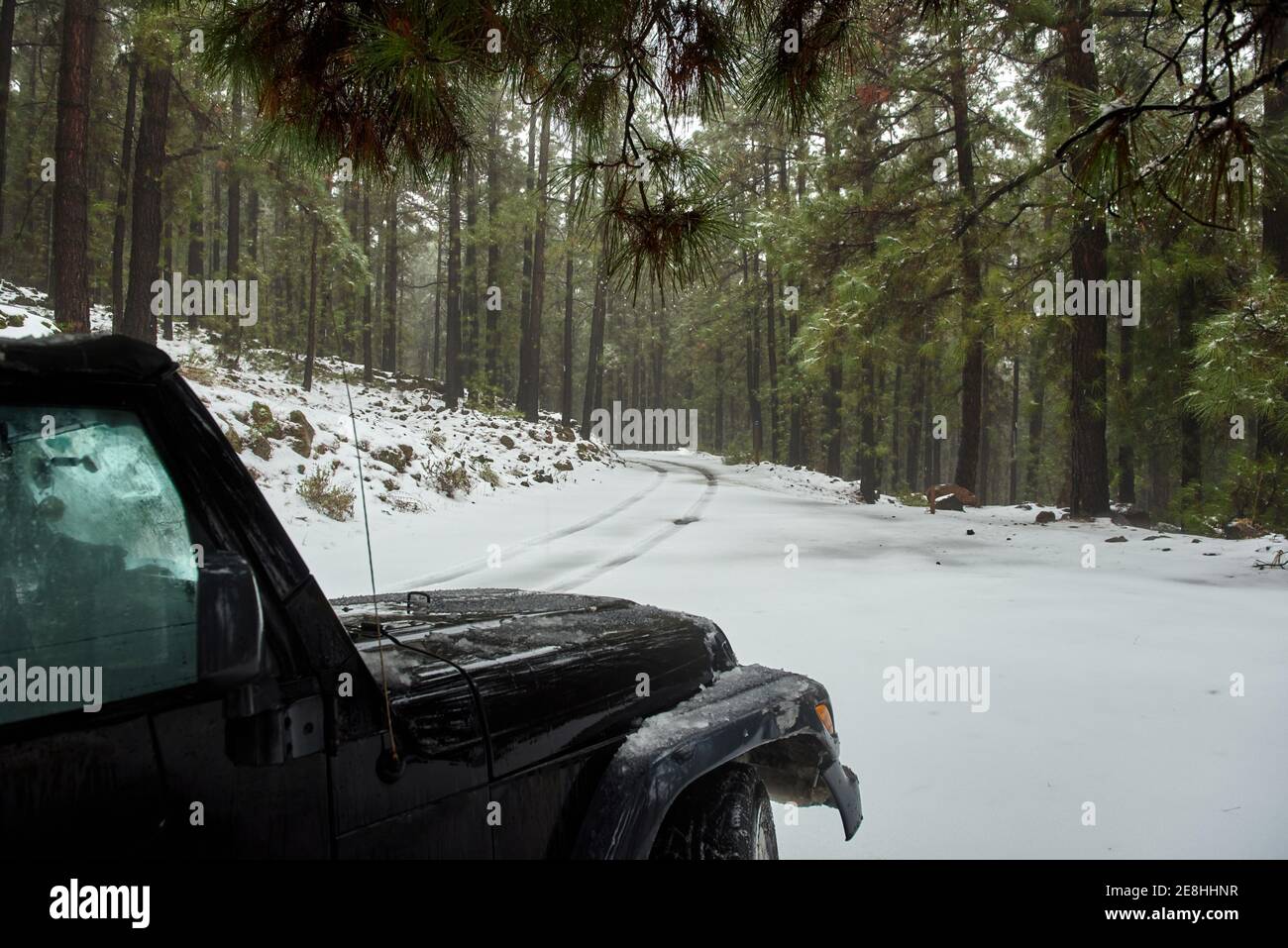 Voiture moderne noire de roader garée sur le bord de la neige à l'intérieur forêt de conifères surgelée le jour d'hiver clair Banque D'Images