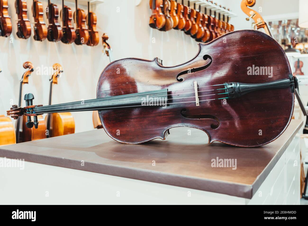 Violoncelle en bois sombre placé sur le comptoir contre le mur avec  assortiment instruments de musique acoustique dans un magasin d'éclairage  moderne Photo Stock - Alamy
