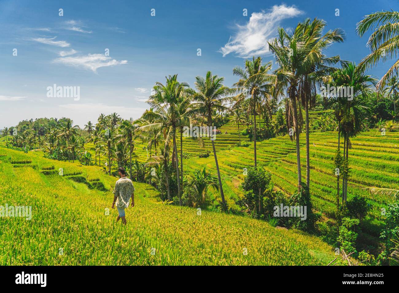 Fermier méconnaissable marchant entre des plantations vertes contre des montagnes sous le bleu Ciel le jour d'été en Indonésie Banque D'Images