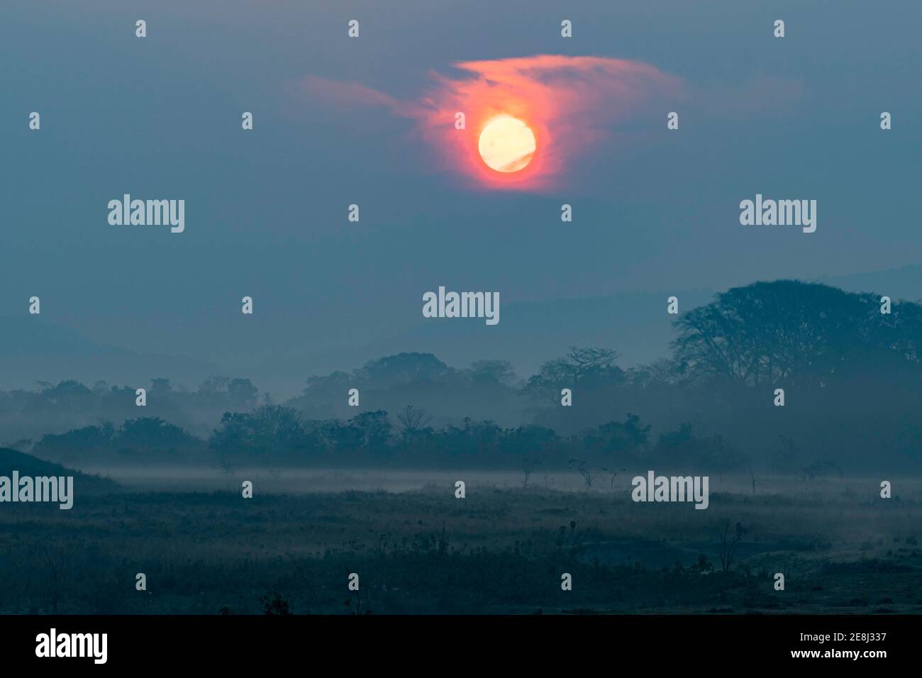 Lever de soleil très brumeux sur le site du patrimoine mondial de l'UNESCO, Parc national de Kaziranga, Assam, Inde Banque D'Images
