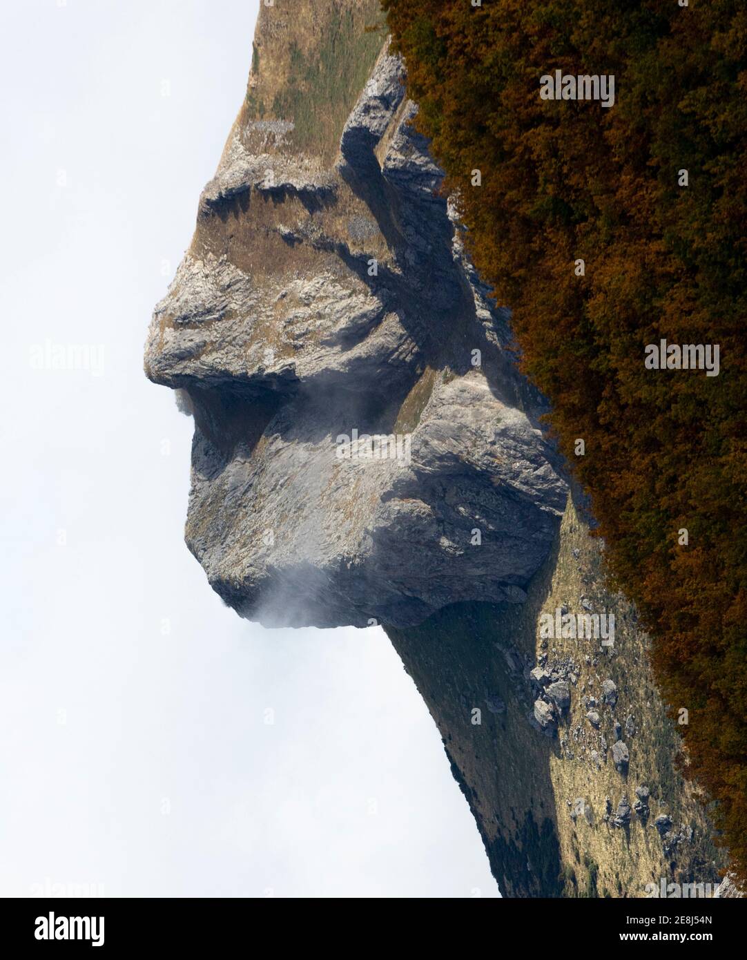 Vue panoramique sur une pente montagneuse inhabituelle en forme de visage humain près d'un terrain boisé luxuriant sous un ciel bleu clair Banque D'Images