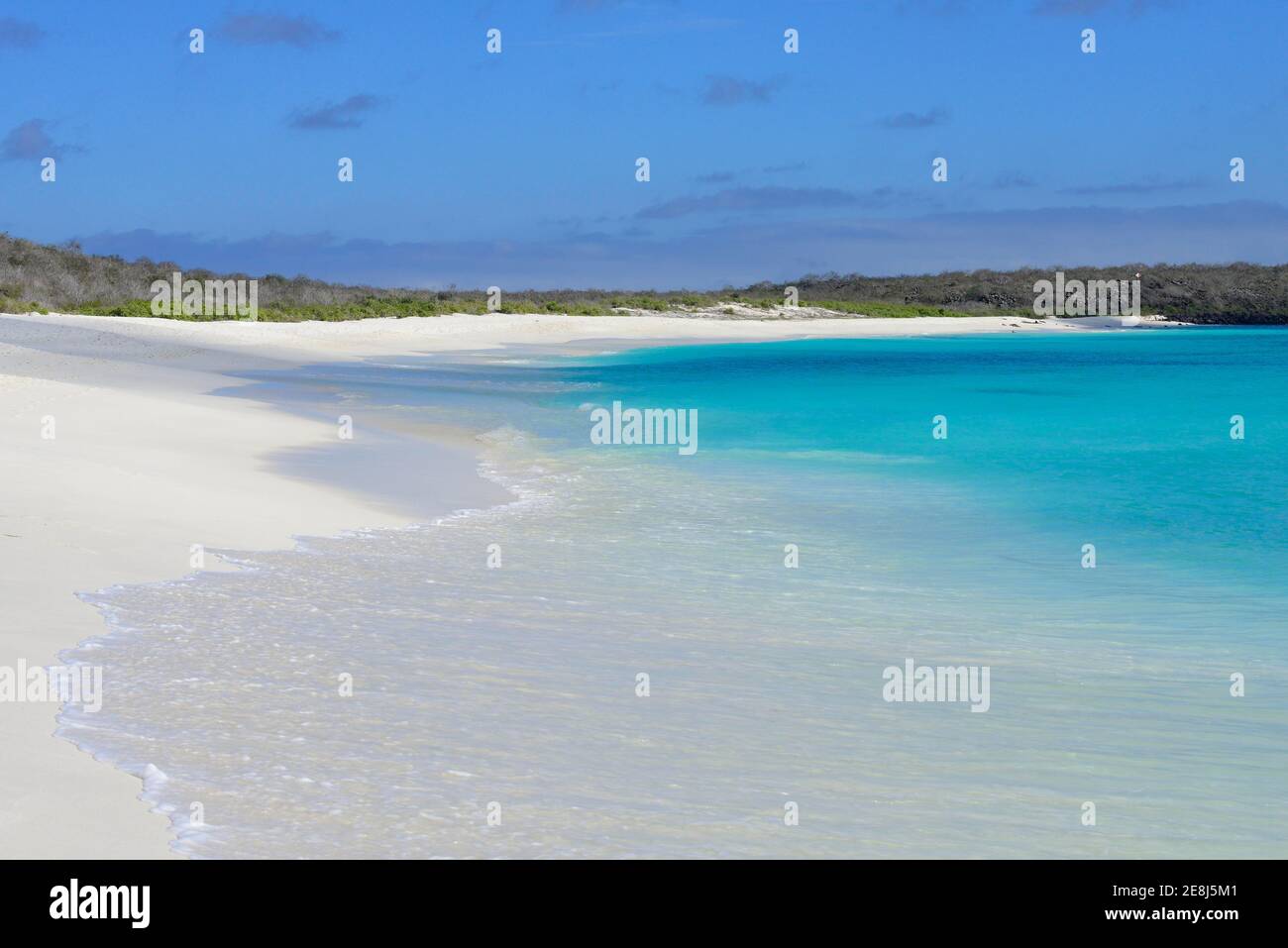 Plage de sable blanc neige, baie de Garnder, île d'Espanola, Galapagos, Équateur Banque D'Images