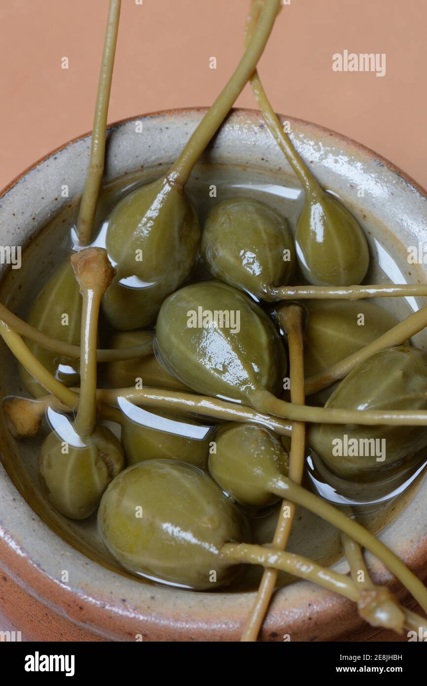 Bol avec pommes à câpres, mariné, pomme à câpres ( Capparis spinosa) Banque D'Images