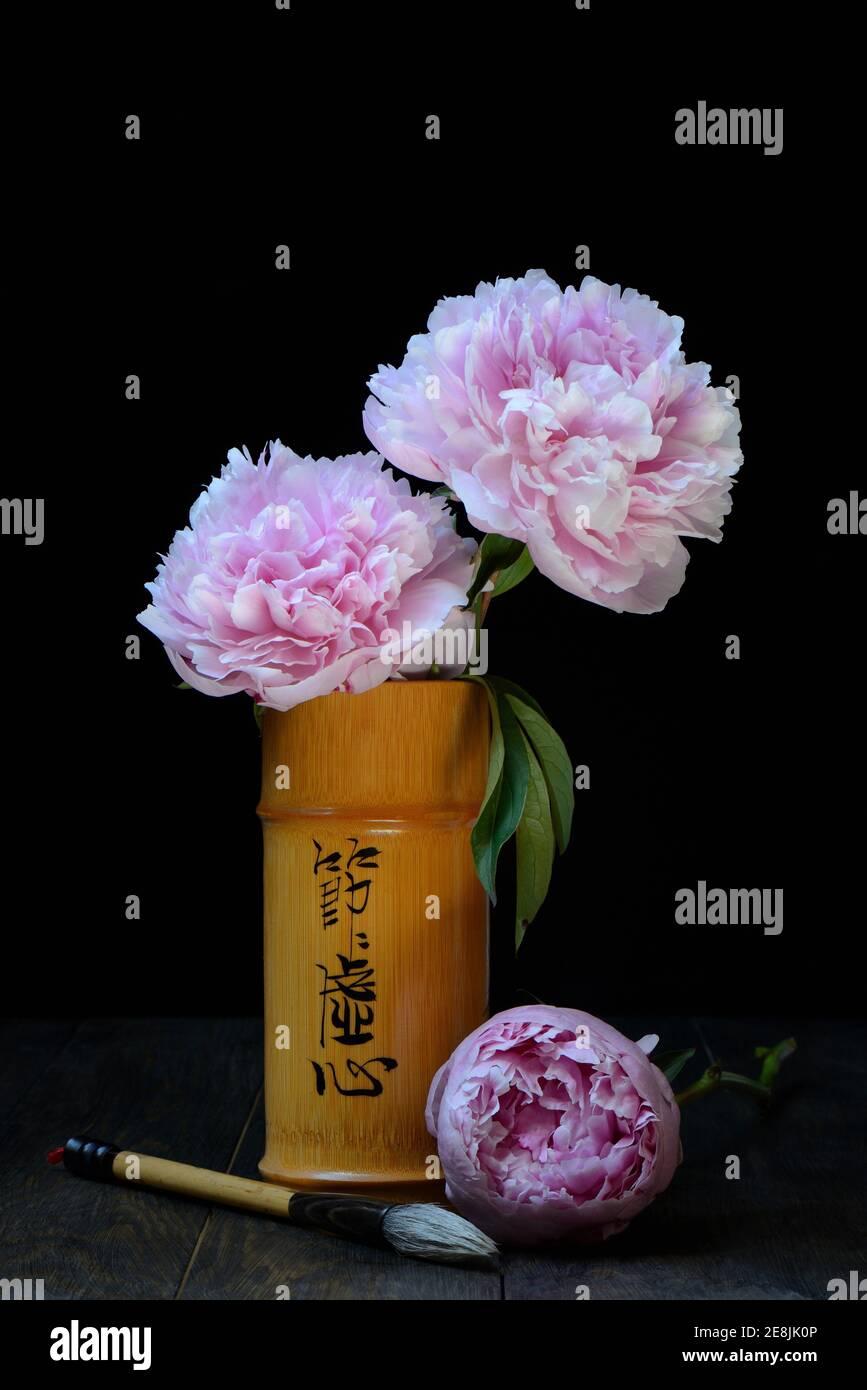 Pivoine chinoise (Paeonia lactiflora) en vase de bambou et pinceau de calligraphie, pinceau à encre Banque D'Images