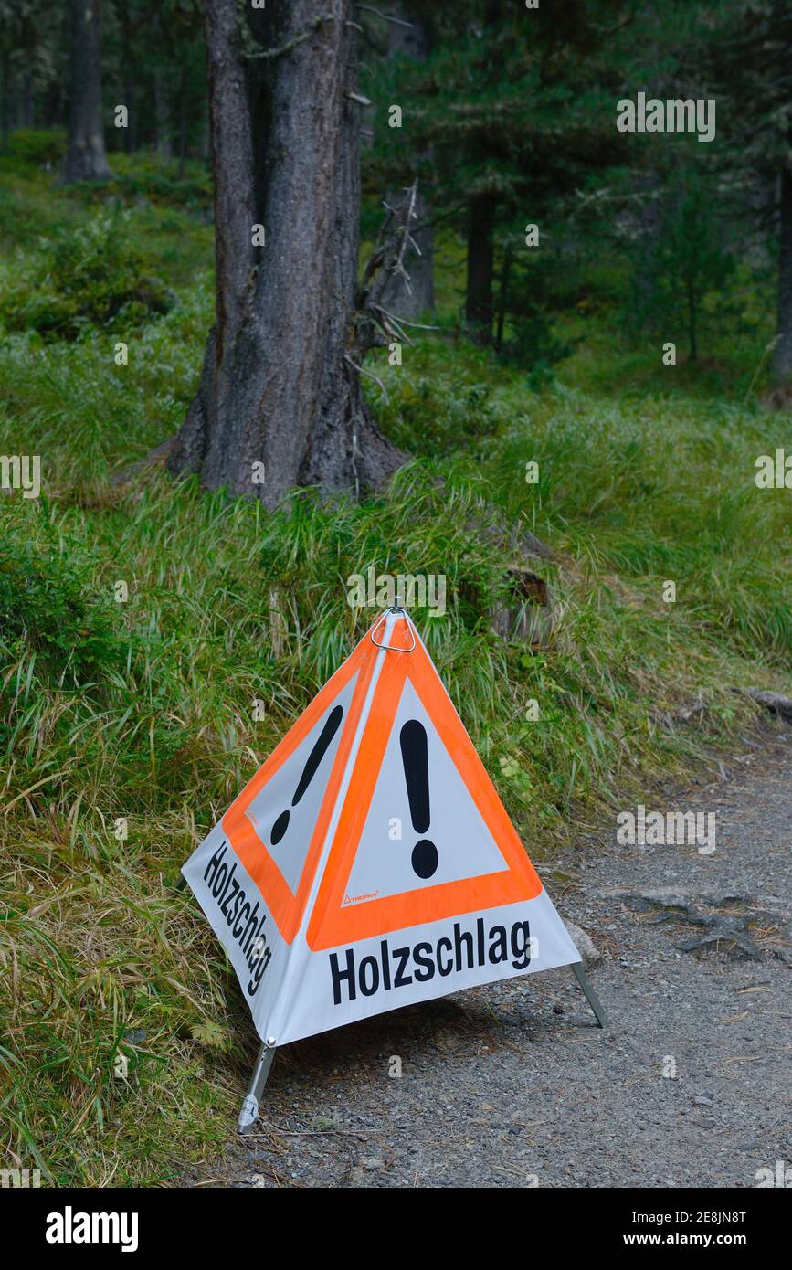 Panneau, exploitation forestière, travaux d'arbres, danger d'accidents, conseils Banque D'Images