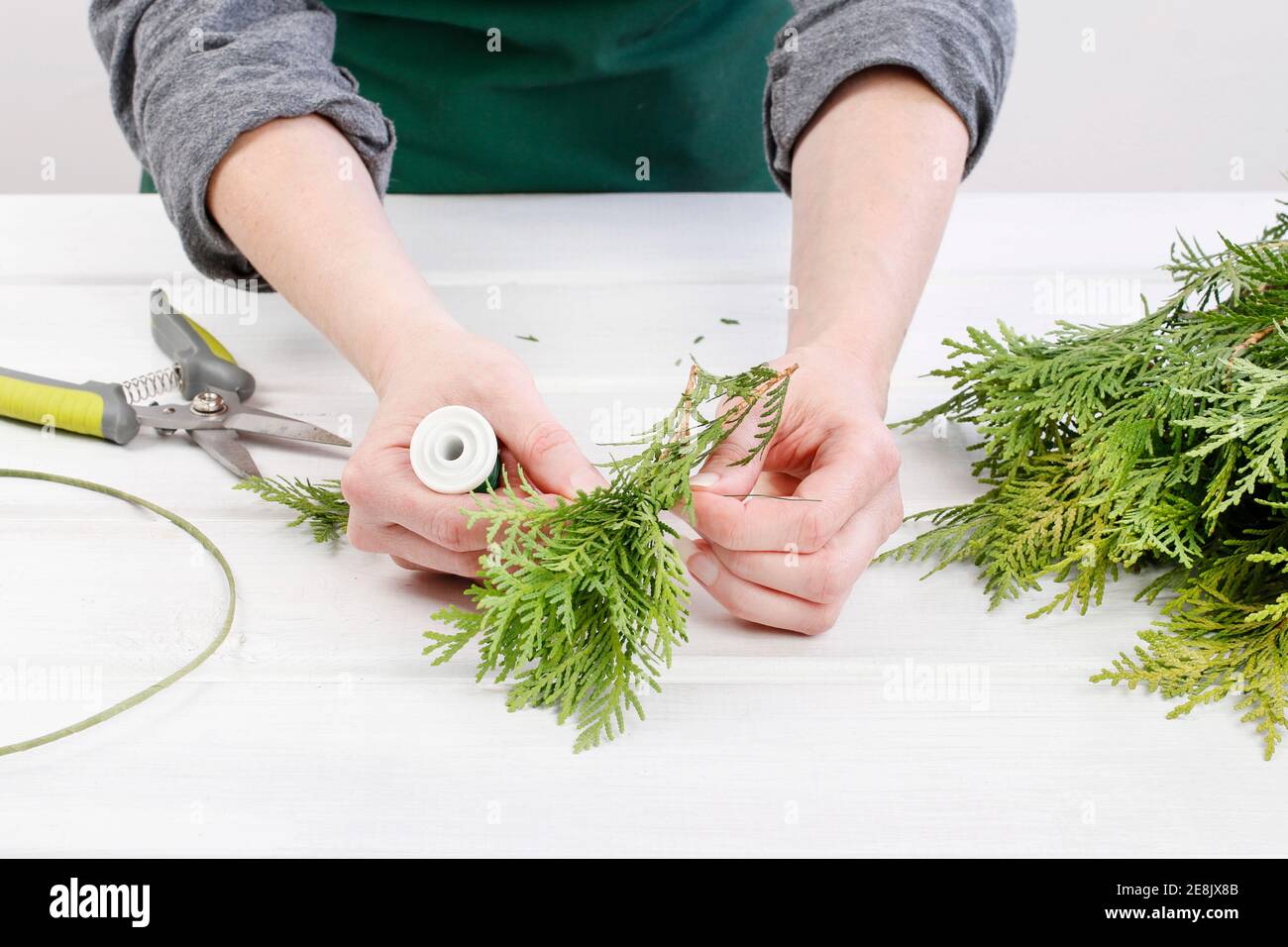 Fleuriste au travail: Comment faire des couronnes de porte de noël traditionnelles avec des brindilles de thuja. Étape par étape, tutoriel. Banque D'Images