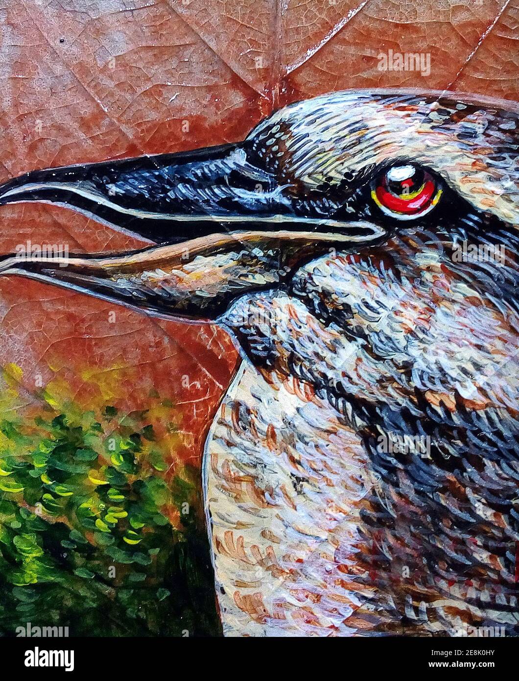 art,peinture,arrière-plans pour le design, huile couleur oiseau de thaïlande Banque D'Images