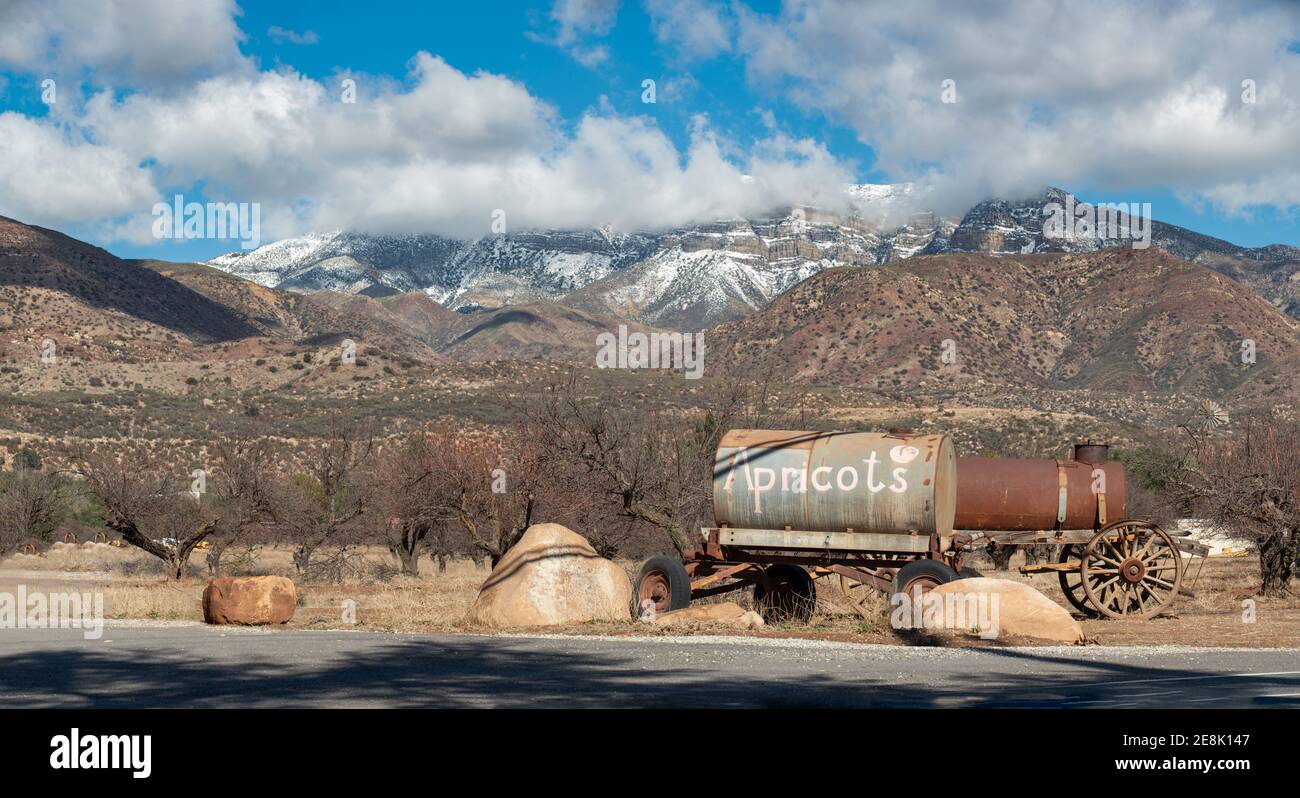 La neige couvrait la montagne Topatopa en Ojai, dominant le verger d'abricot, par une journée hivernale. Banque D'Images
