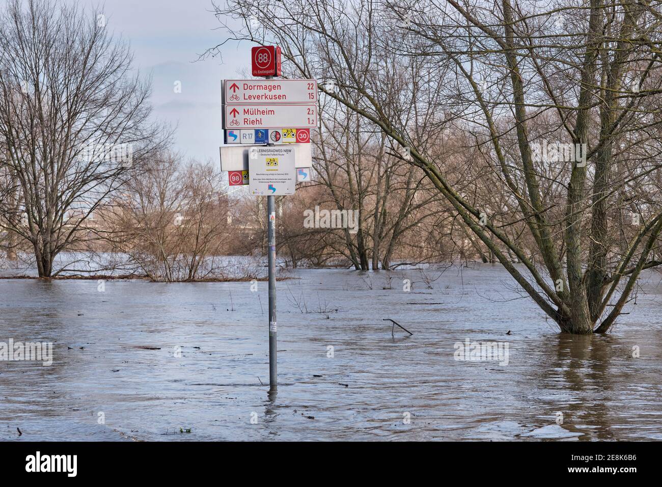 Haute eau sur le Rhin à Cologne. La photo montre une piste piétonne inondée et une piste cyclable. Banque D'Images