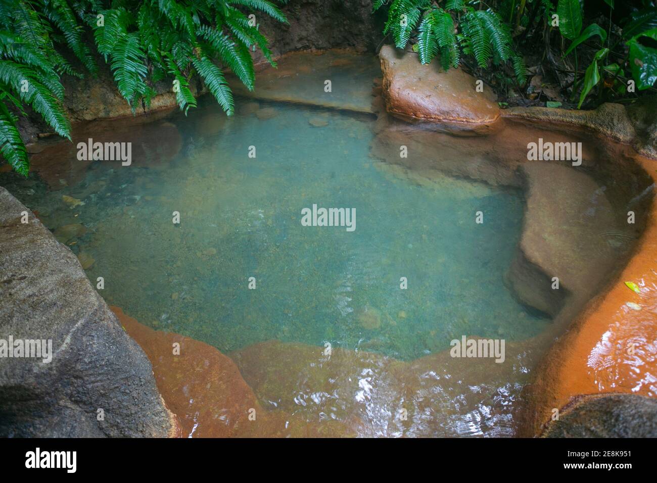 La piscine en source chaude à la Fortuna, Costa Rica Banque D'Images