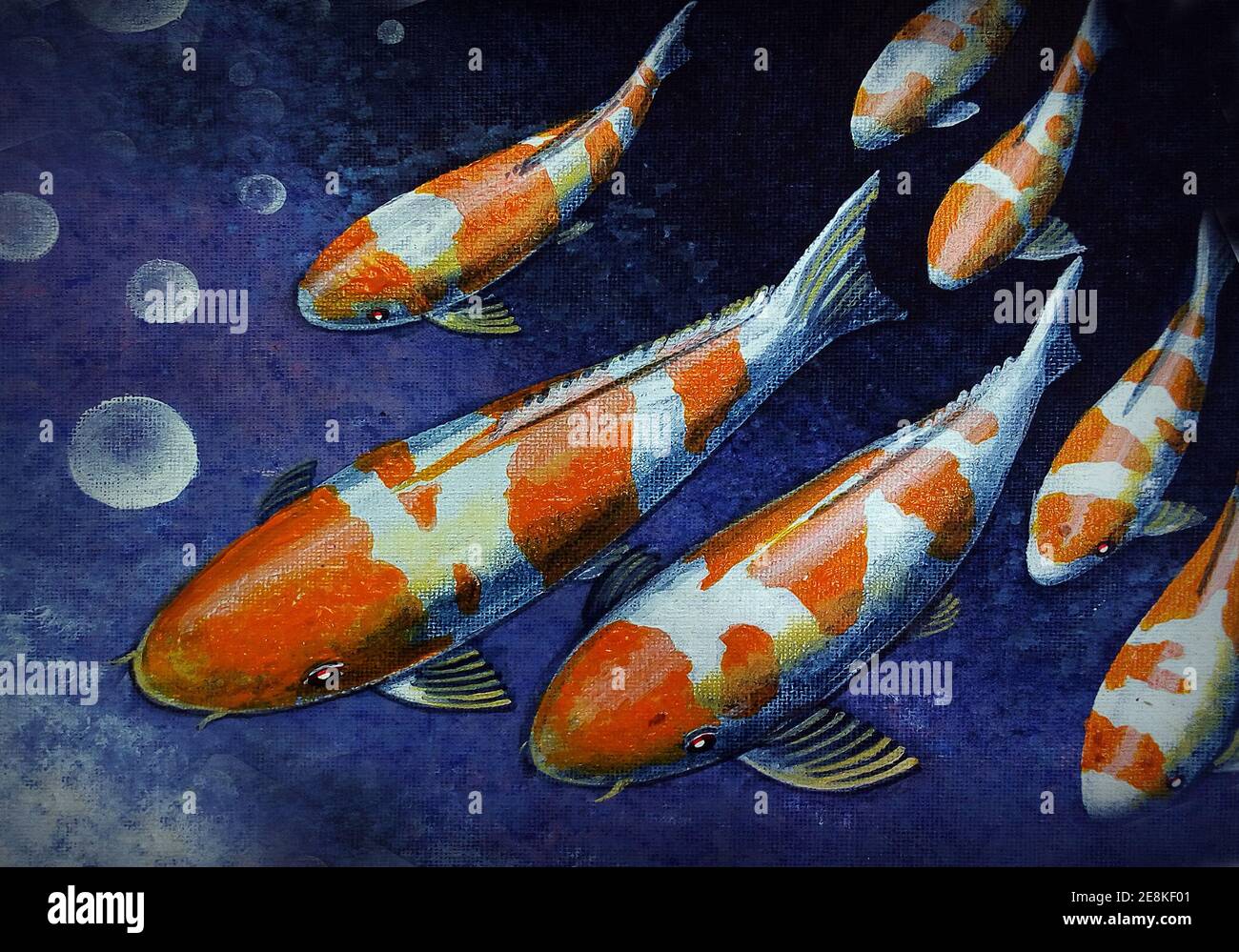 Peinture à l'huile de Fancy Carp photos de poissons Austiciousness à la maison , koi Banque D'Images