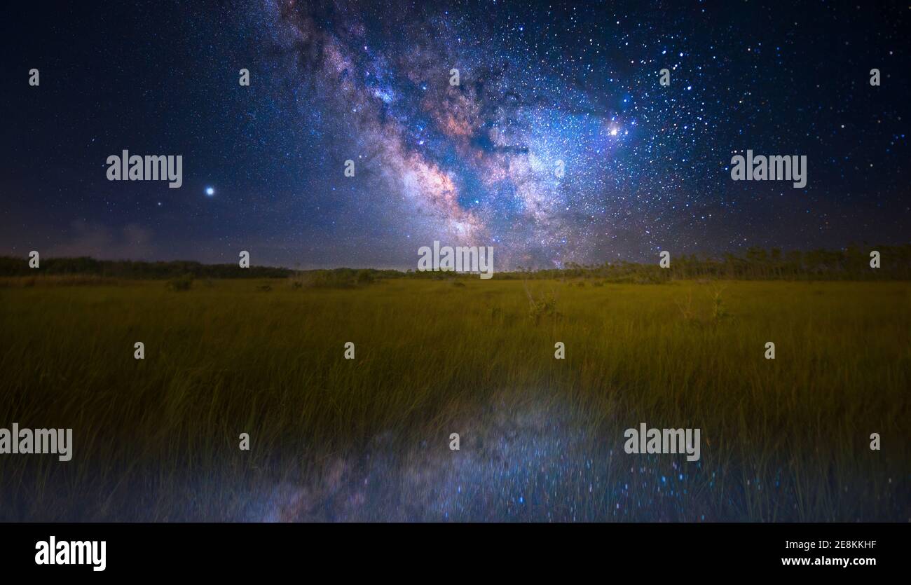 La voie lactée apparaît à l'horizon au parc national des Everglades. Banque D'Images La voie lactée apparaît à l'horizon au parc national des Everglades. Banque D'Images