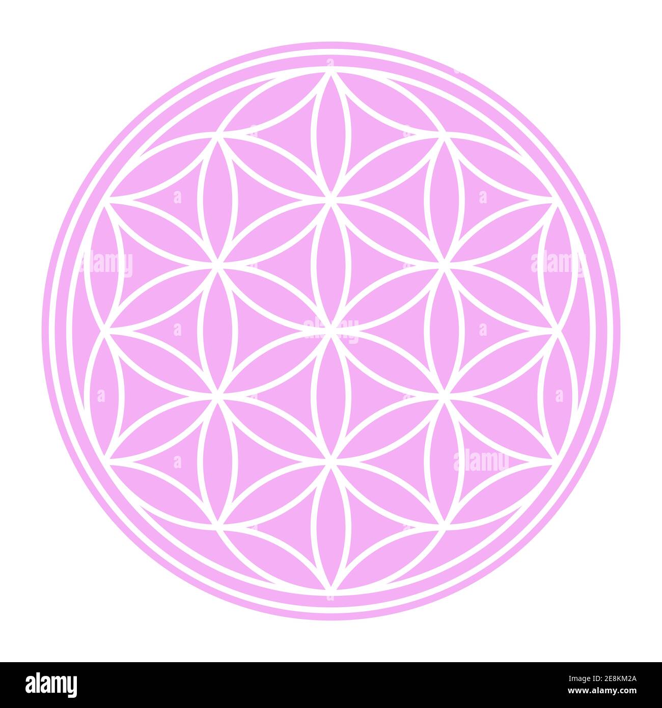 White Seed of Life sur terrain circulaire rose pastel. Une figure géométrique et un symbole spirituel de la géométrie sacrée. Cercles se chevauchant formant une fleur. Banque D'Images