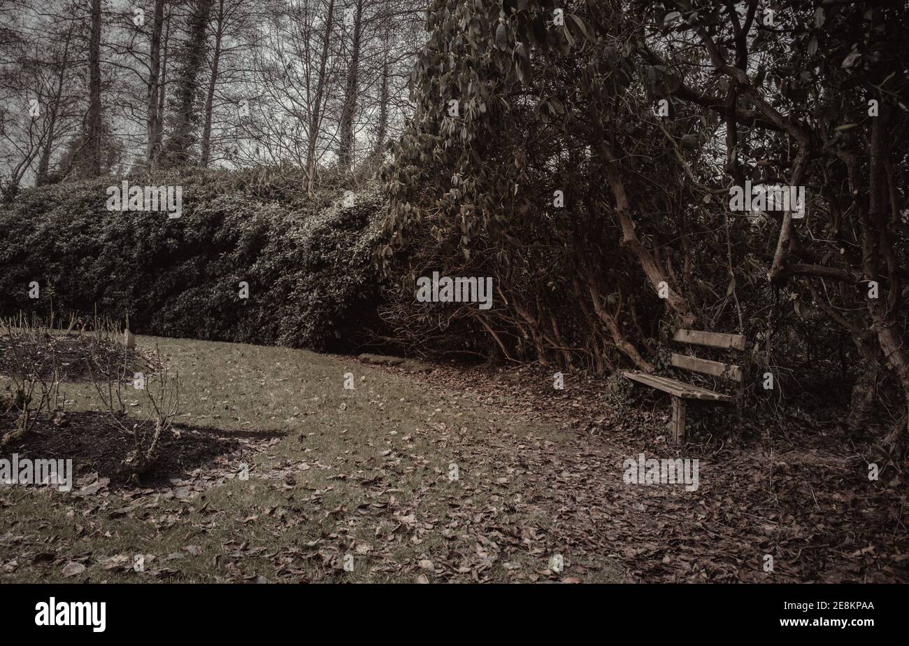 Banc dans la forêt. Banque D'Images