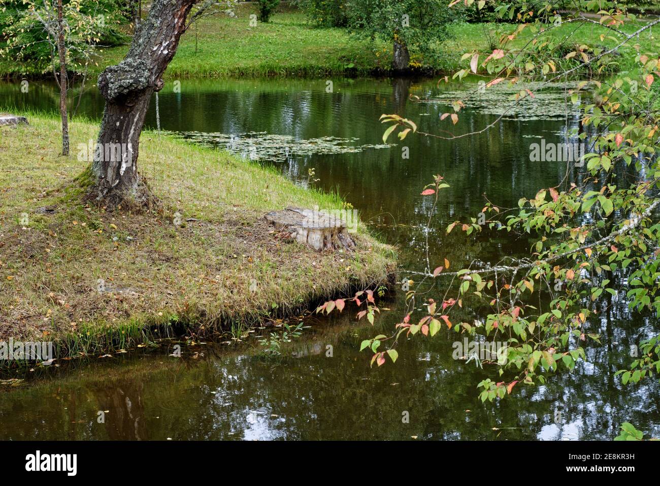 Paysage d'automne avec un petit étang dans le domaine du village. Banque D'Images