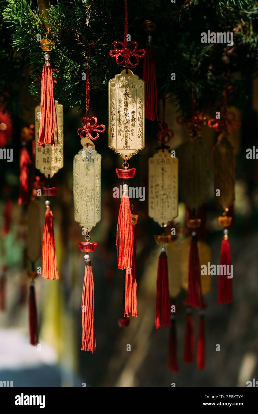 Rubans de souhaits bouddhistes et plaques dorées accrochés à partir de pins à Taipei, Taïwan, avec des écrits chinois. Banque D'Images