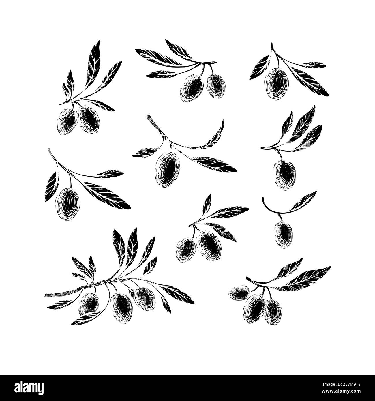 Collection d'éléments d'esquisse olive. Illustration vectorielle. Plante tirée à la main, feuilles vertes, fruits mûrs isolés sur fond blanc. Huile organique. Grec ou S Illustration de Vecteur