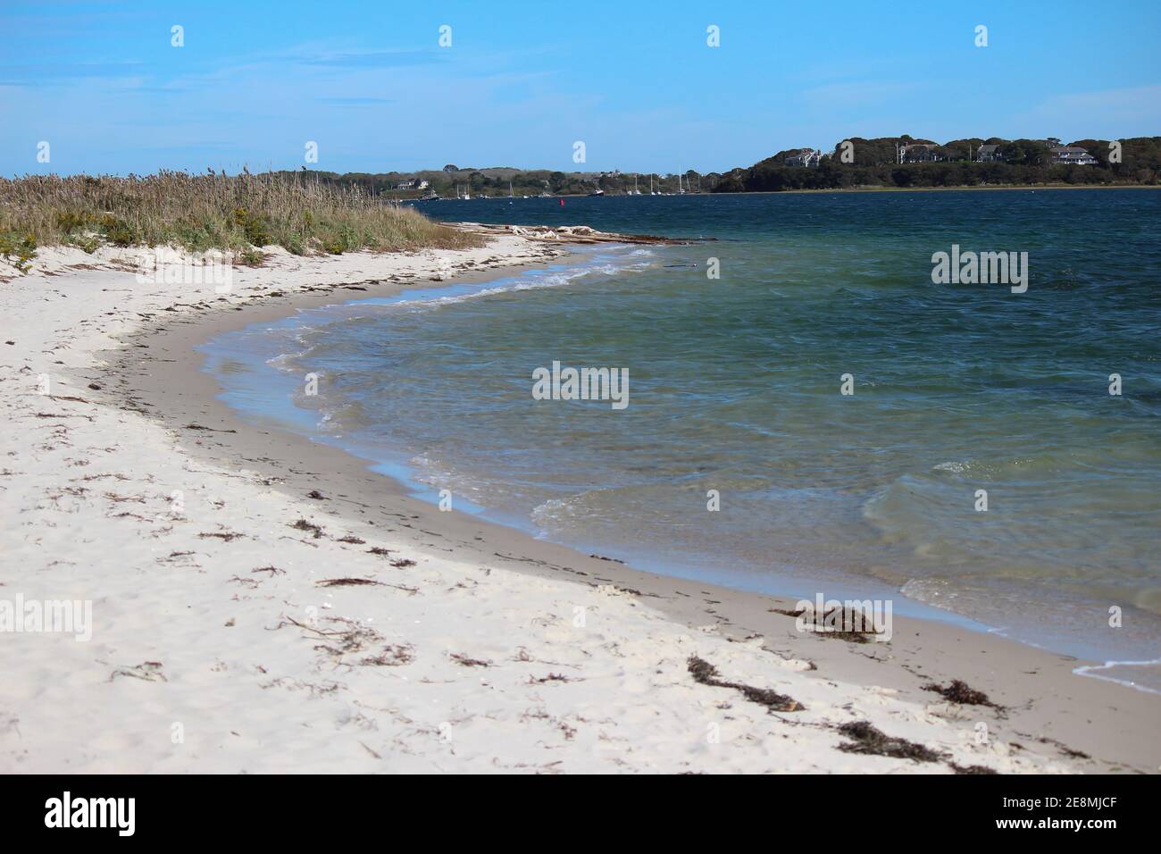 petites vagues entrant dans un bord de mer incurvé avec des dunes de sable de l'herbe de mer Banque D'Images