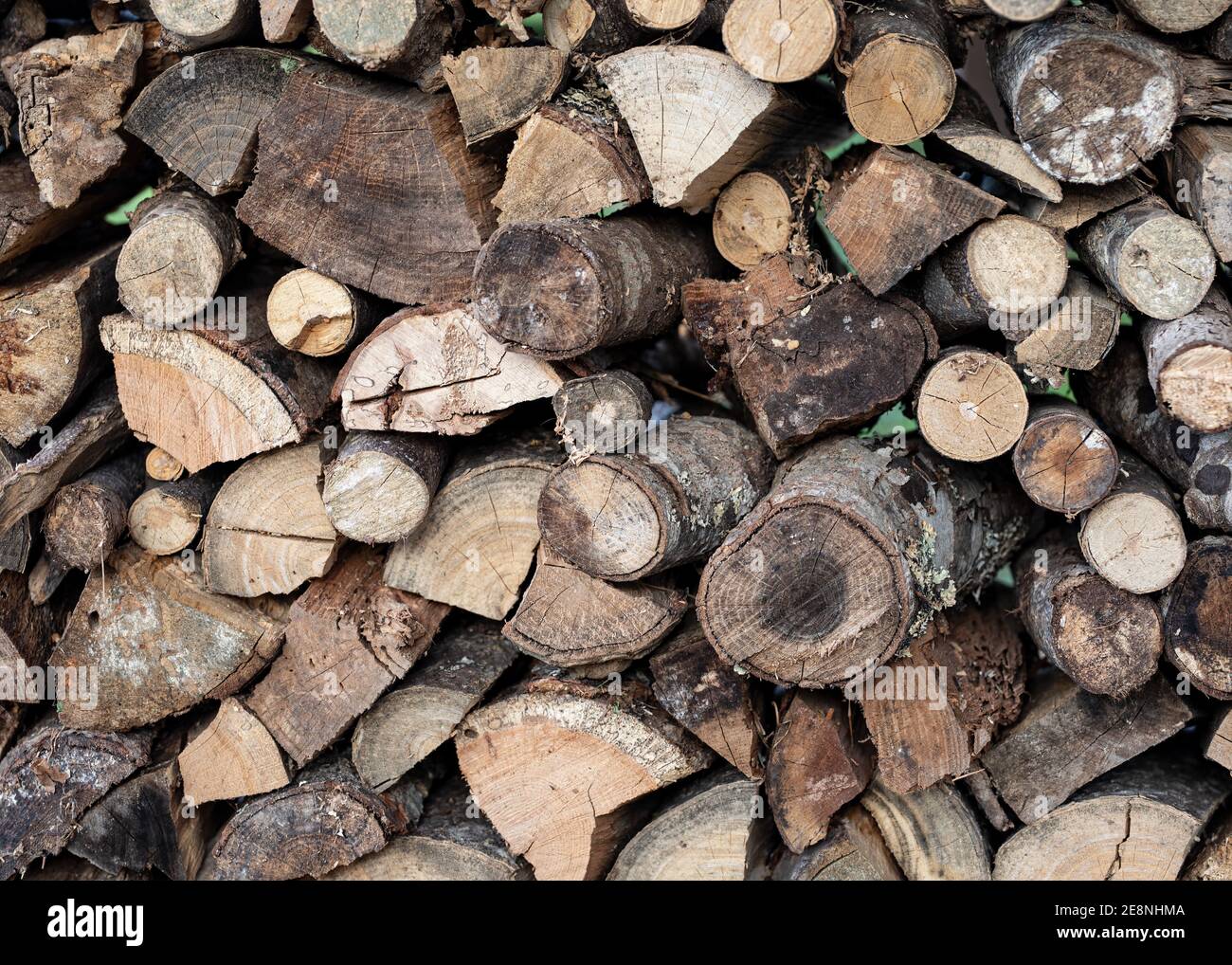 Vue de bout des bûches coupées et fendues prêtes pour le four à bois. Banque D'Images