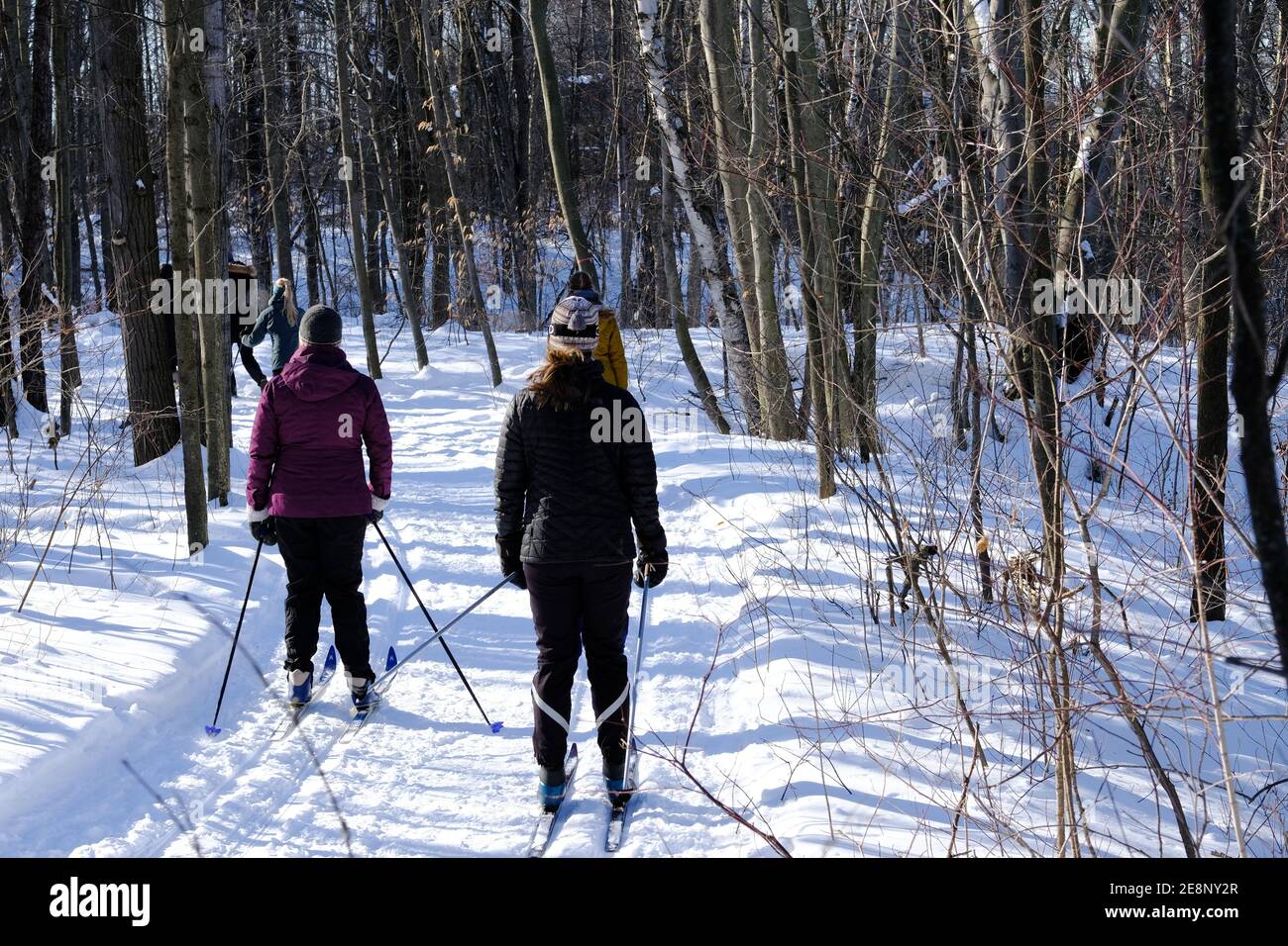 Skieurs de fond profitant d'une sortie douce et ensoleillée l'après-midi sur les sentiers à l'extérieur d'Ottawa, Ontario, Canada. Banque D'Images