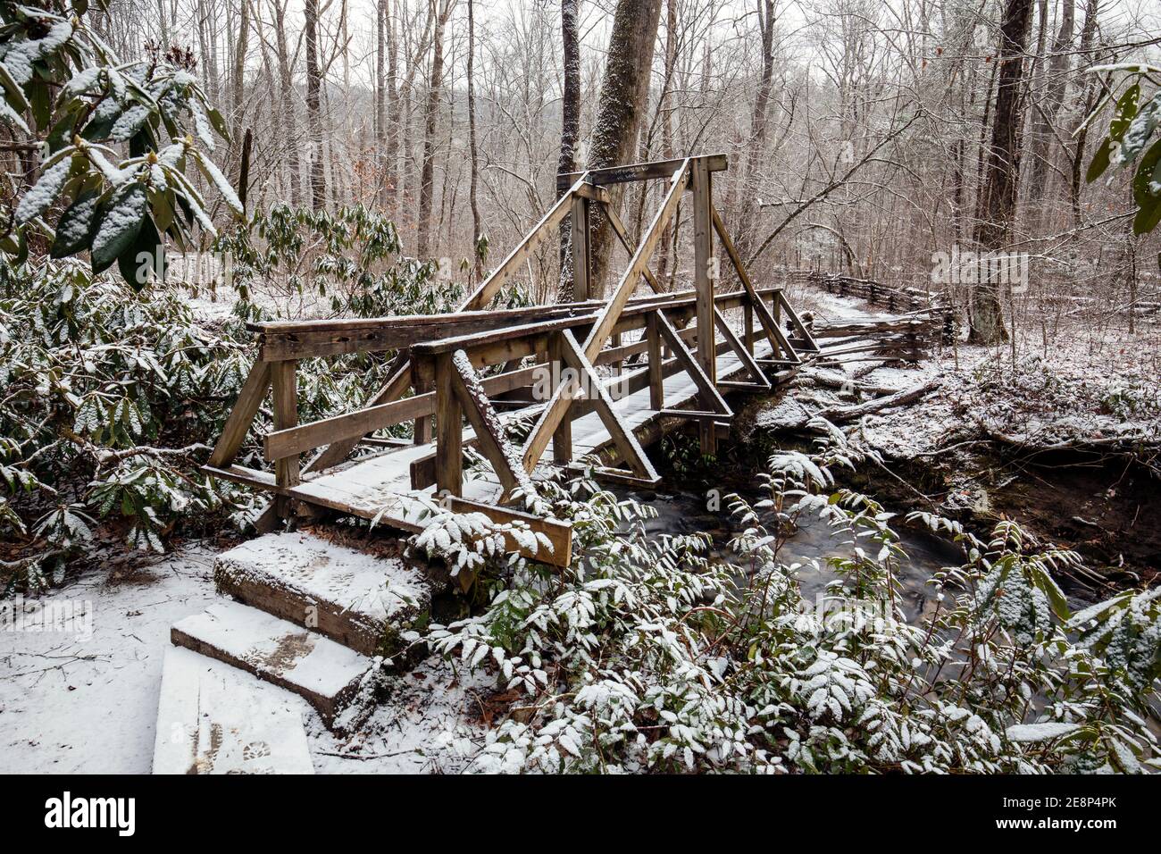 Pont en bois recouvert de neige sur le sentier Cat Gap Loop Trail - Pisgah National Forest, Brevard, Caroline du Nord, États-Unis Banque D'Images