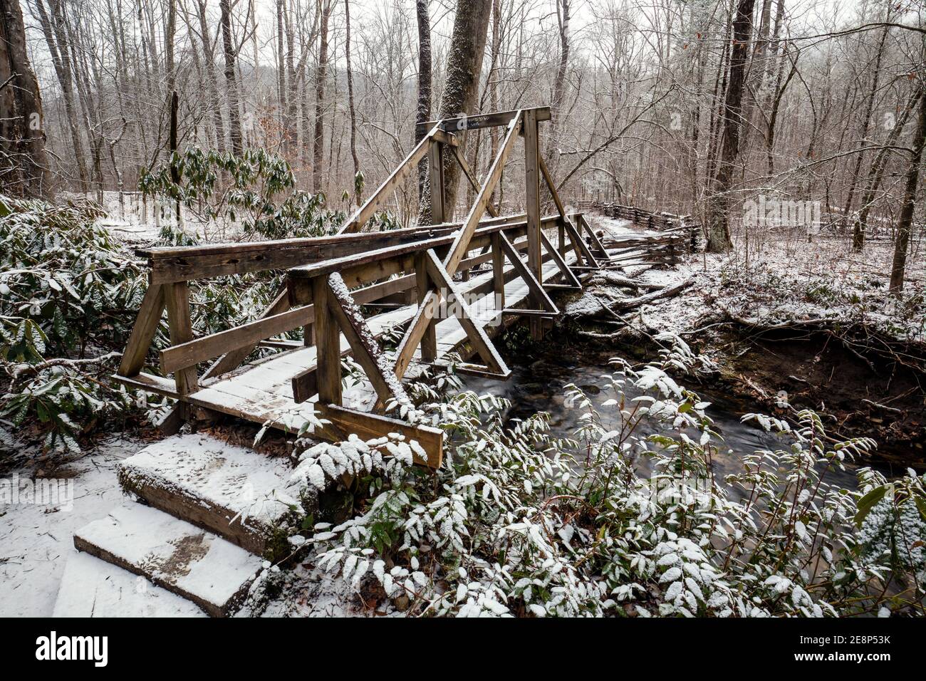 Pont en bois recouvert de neige sur le sentier Cat Gap Loop Trail - Pisgah National Forest, Brevard, Caroline du Nord, États-Unis Banque D'Images