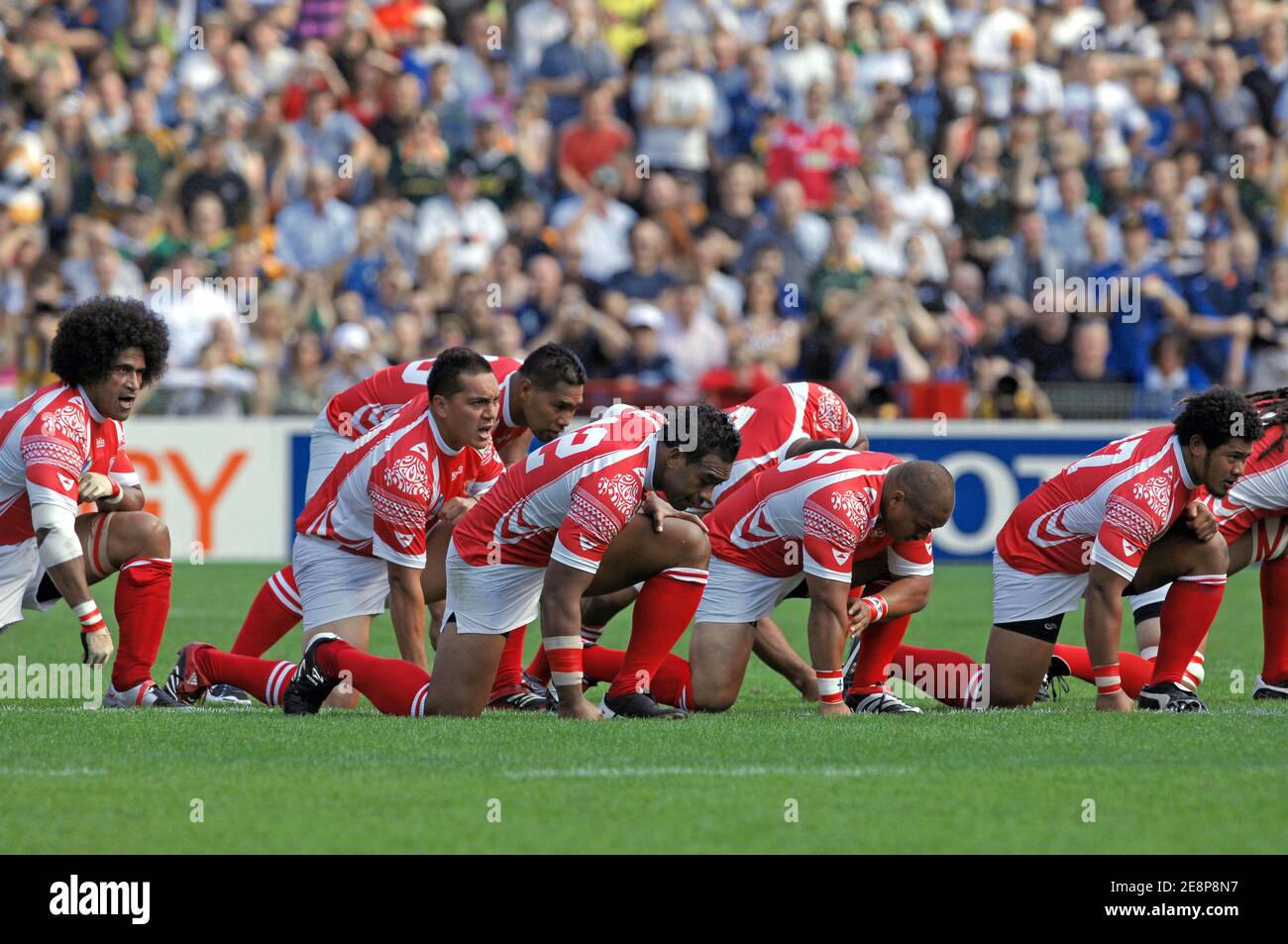 L'équipe des Tonga exécute le haka devant l'équipe d'Afrique du Sud lors de  la coupe du monde de rugby 2007 de l'IRB, Pool A, Afrique du Sud contre les  Tonga au stade