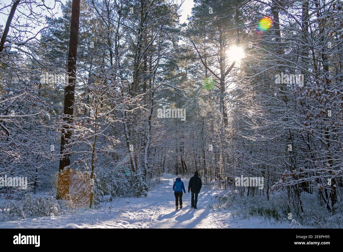 Sentier de randonnée hivernal à Neugraben Heath, Harburg, Hambourg, Allemagne Banque D'Images