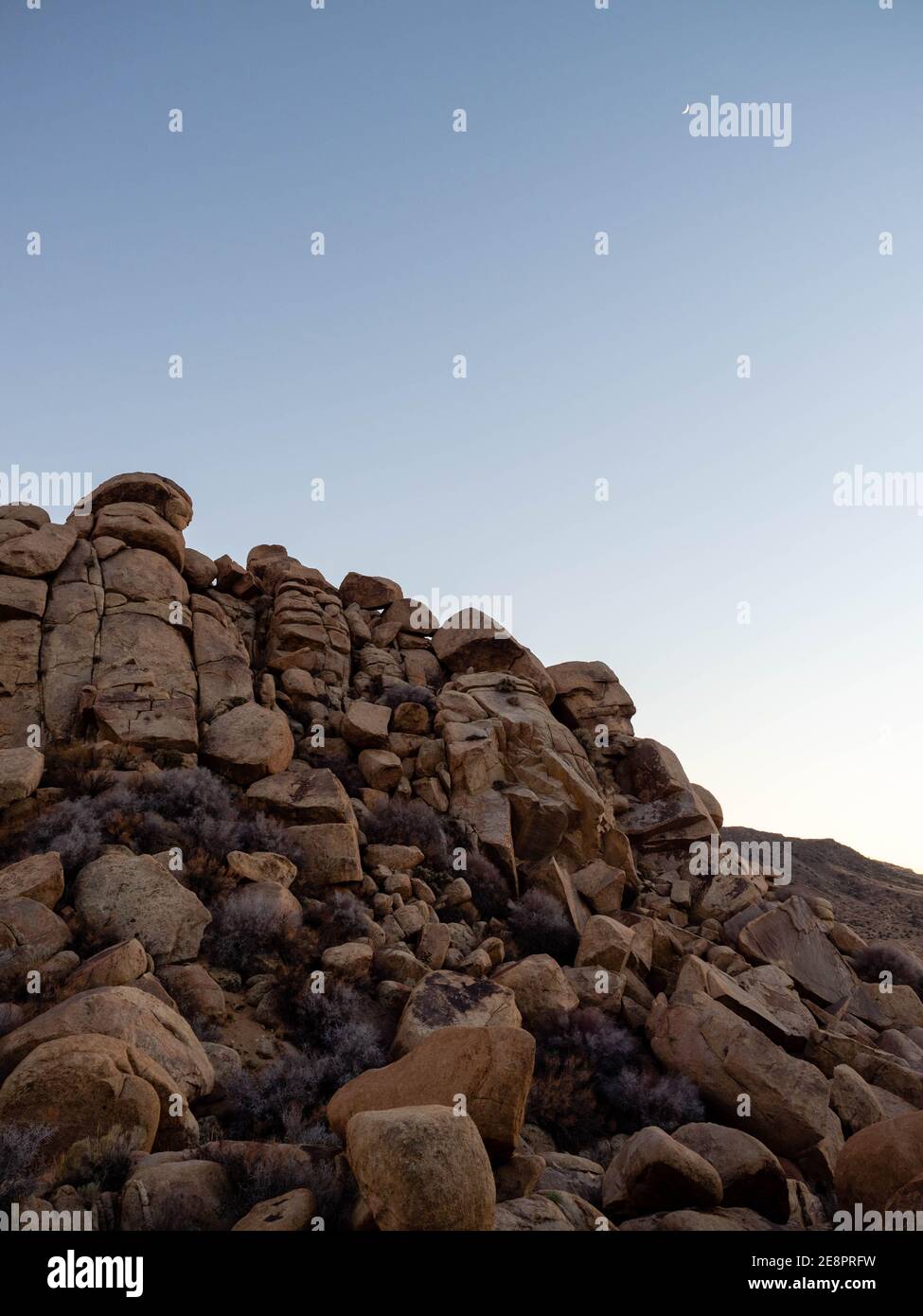 Yucca Valley, Californie, un jour ensoleillé de janvier avec ciel bleu Banque D'Images