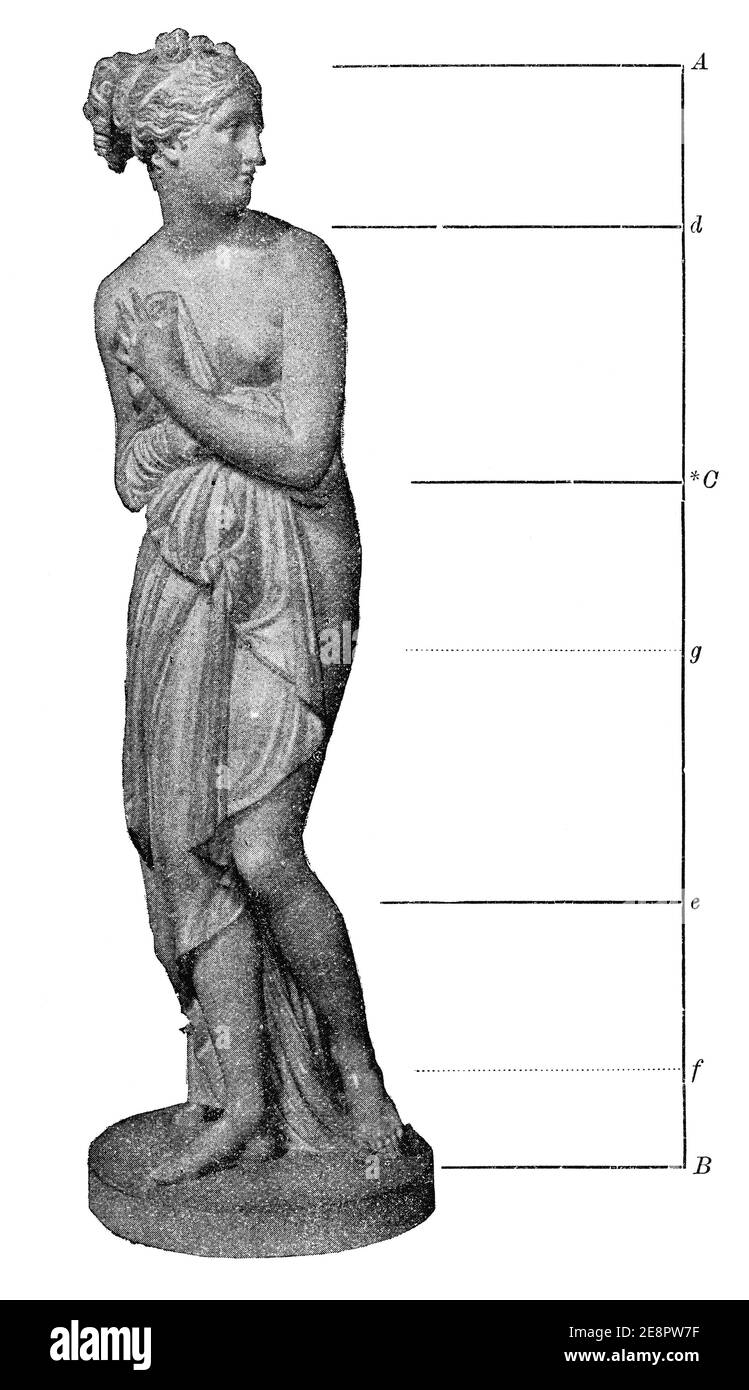 La Vénus Italica est une sculpture en marbre du sculpteur italien Antonio Canova. Marqueurs de proportion corporelle. Illustration du 19e siècle. Allemagne. Arrière-plan blanc. Banque D'Images