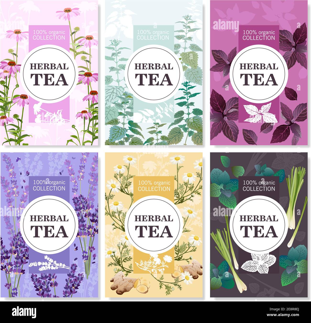 Collection d'épices et de fleurs de prairie pour thé biologique coloré cartes avec illustration du vecteur de titre Illustration de Vecteur