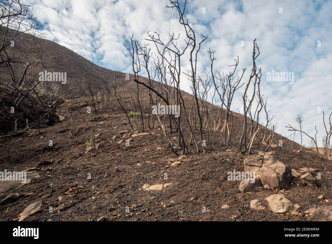 Le paysage brûlé de la Californie après les feux de forêt d'éclairage balayé et laissé des montagnes et des vallées carbonisées derrière. Banque D'Images