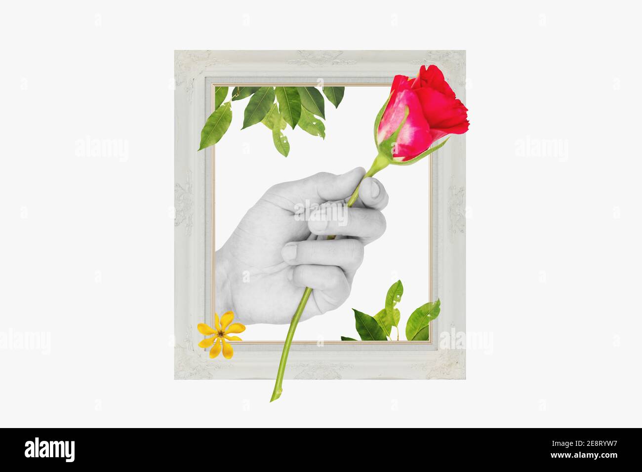 Collage numérique art moderne main tenant la rose rouge, avec cadre photo rétro, feuilles et fleur Banque D'Images